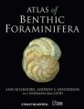 Atlas of Benthic Foraminifera