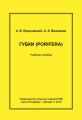 Губки (Porifera). Учебное пособие