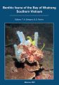    ,   / Benthic fauna of the Bay of Nhatrang, Southern Vietnam