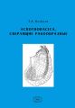 Acrothoracica,  