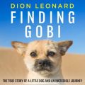 Finding Gobi