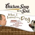 Chicken Soup for the Soul: What I Learned from the Dog - 36 Stories about Putting Things in Perspective, Kindness, and Unconditional Love