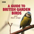 Guide To British Garden Birds