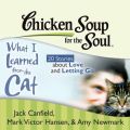 Chicken Soup for the Soul: What I Learned from the Cat - 20 Stories about Love and Letting Go