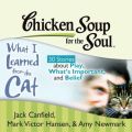 Chicken Soup for the Soul: What I Learned from the Cat - 30 Stories about Play, What's Important, and Belief