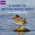 Guide To British Water Birds