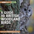Guide To British Woodland Birds