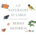 A Naturalist at Large - The Best Essays of Bernd Heinrich (Unabridged)