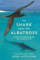 The Shark and the Albatross