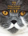 77 Things to Know Before Getting a Cat