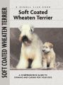 Soft Coat Wheaten Terrier