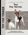 Toy Fox Terrier