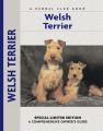 Welsh Terrier