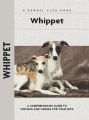 Whippet