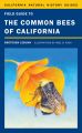 Field Guide to the Common Bees of California