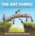 The Ant Family - Fun Facts You Need To Know : Third Grade Science Series