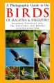 Photographic Guide to the Birds of Malaysia & Singapore