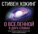 О Вселенной в двух словах. Краеугольные камни и острые углы науки о макрокосмосе