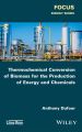 Thermochemical Conversion of Biomass for the Production of Energy and Chemicals