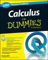 Calculus: 1,001 Practice Problems For Dummies (+ Free Online Practice)