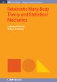 Relativistic Many-Body Theory and Statistical Mechanics