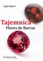 Tajemnica Flores de Barras