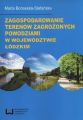 Zagospodarowanie terenow zagrozonych powodziami w wojewodztwie lodzkim