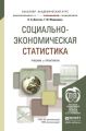 Социально-экономическая статистика. Учебник и практикум для академического бакалавриата