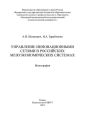 Управление инновационными сетями в российских мезоэкономических системах