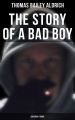 The Story of a Bad Boy (Children's Book)