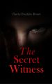 The Secret Witness