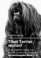 Tibet Terrier wohin?