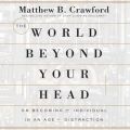 World Beyond Your Head