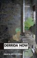 Derrida Now