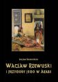 Waclaw Rzewuski i przygody jego w Arabii