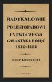 Radykalowie polistopadowi i nowoczesna galaktyka pojec (1832-1888)
