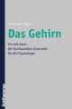 Das Gehirn