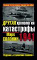 Другая хронология катастрофы 1941. Падение «сталинских соколов»