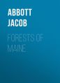 Forests of Maine
