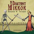 Distant Mirror