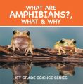 What Are Amphibians?, What & Why : 1st Grade Science Series