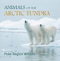 Animals of the Arctic Tundra: Polar Region Wildlife