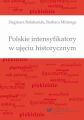 Polskie intensyfikatory w ujeciu historycznym