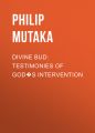 Divine Bud: Testimonies of God?s intervention