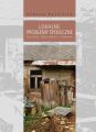 Lokalne problemy spoleczne. Potrzeby, mozliwosci, starania