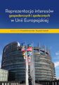 Reprezentacja interesow gospodarczych i spolecznych w Unii Europejskiej