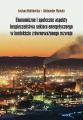 Ekonomiczne i spoleczne aspekty bezpieczenstwa sektora energetycznego w kontekscie zrownowazonego rozwoju