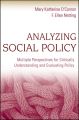 Analyzing Social Policy. Multiple Perspectives for Critically Understanding and Evaluating Policy