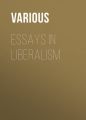 Essays in Liberalism