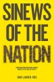 Sinews of the Nation. Constructing Irish and Zionist Bonds in the United States